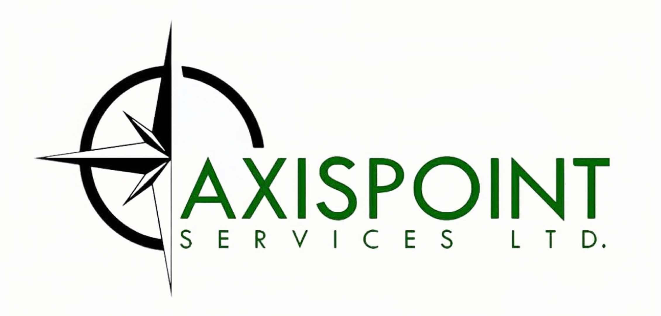 Team of professional cleaners